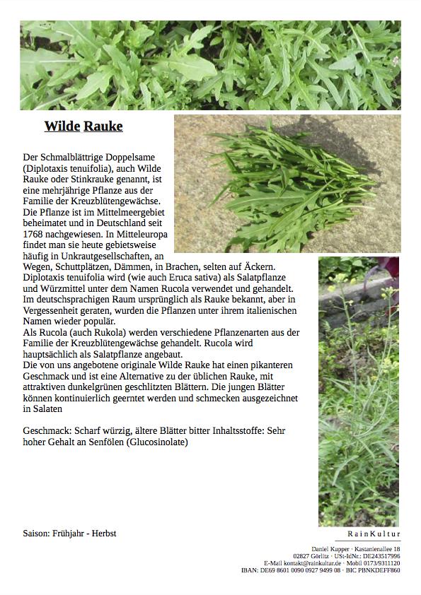 WildeRaukeInfosmall
